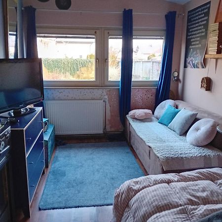 Art Room With Outdoor Living לובליאנה מראה חיצוני תמונה