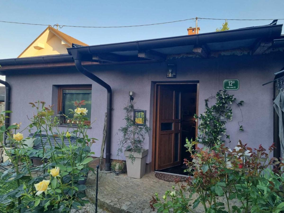 Art Room With Outdoor Living לובליאנה מראה חיצוני תמונה