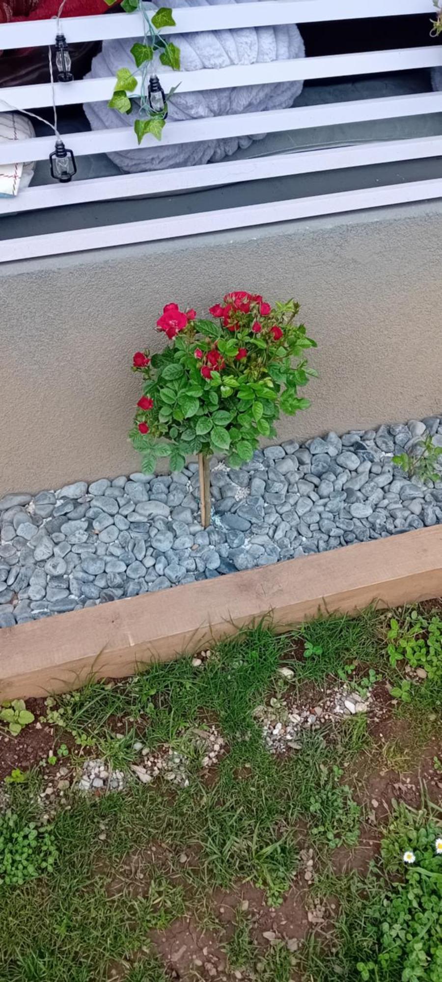 Art Room With Outdoor Living לובליאנה מראה חיצוני תמונה